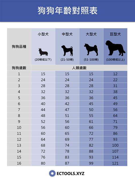 狗 15歲|狗狗年齡新算法是什麼？換算成人類是幾歲？世界上最。